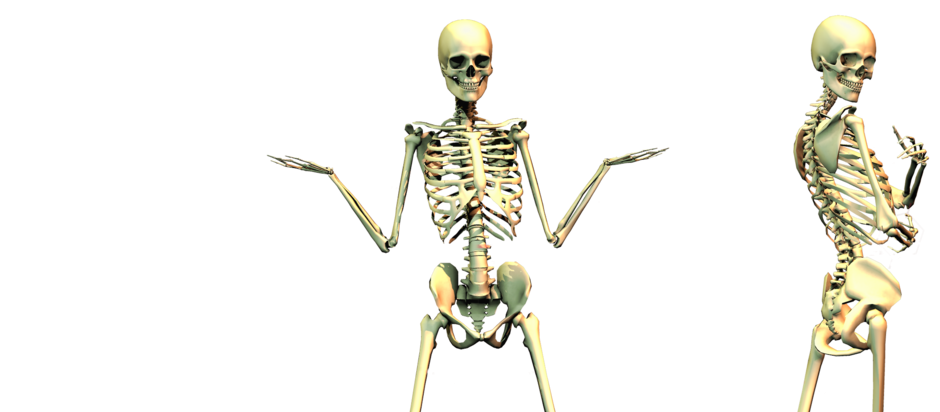 bones