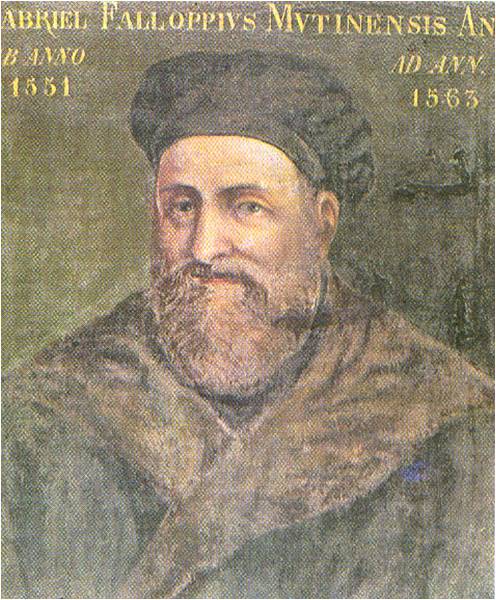GabrieleFallopio (1523-1563)