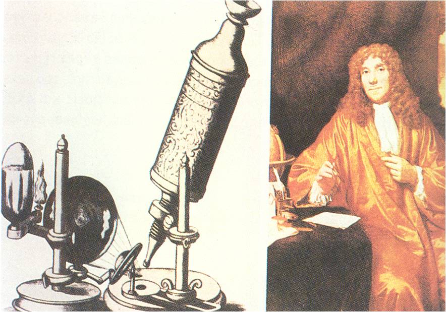 Antoni van Leeuwenhoek  Ανακάλυψε το μικροσκόπιο