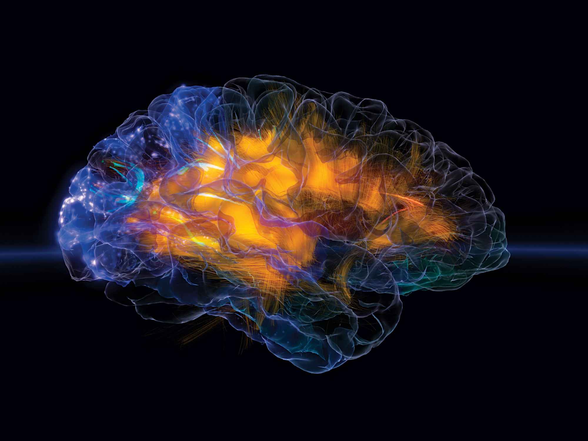 brain active 3
