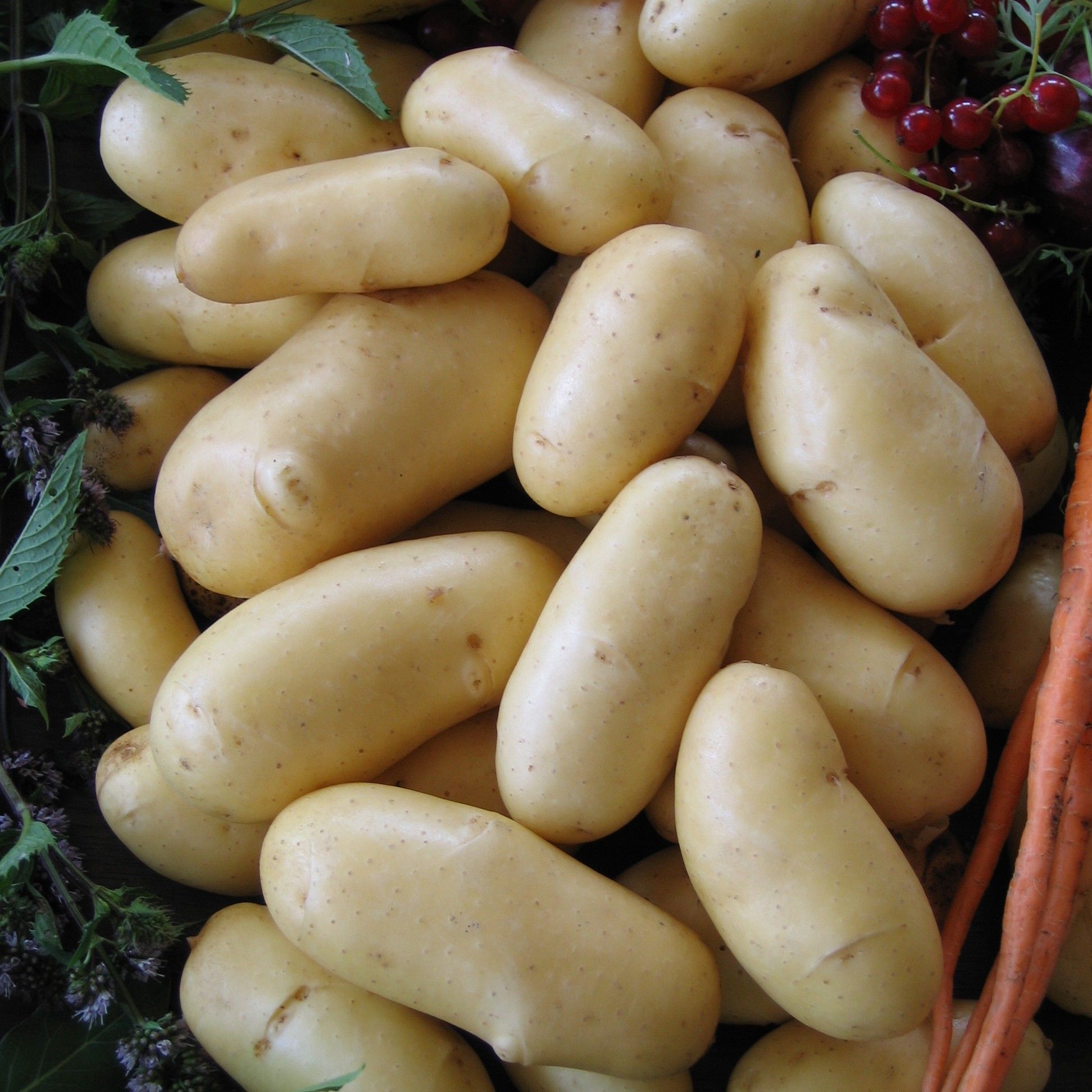 potatoes 5