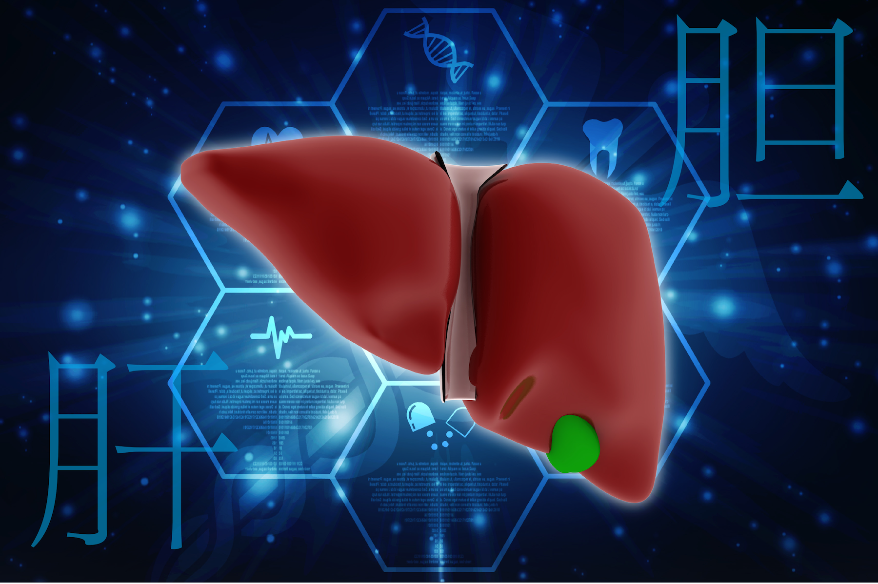 liver detox 3
