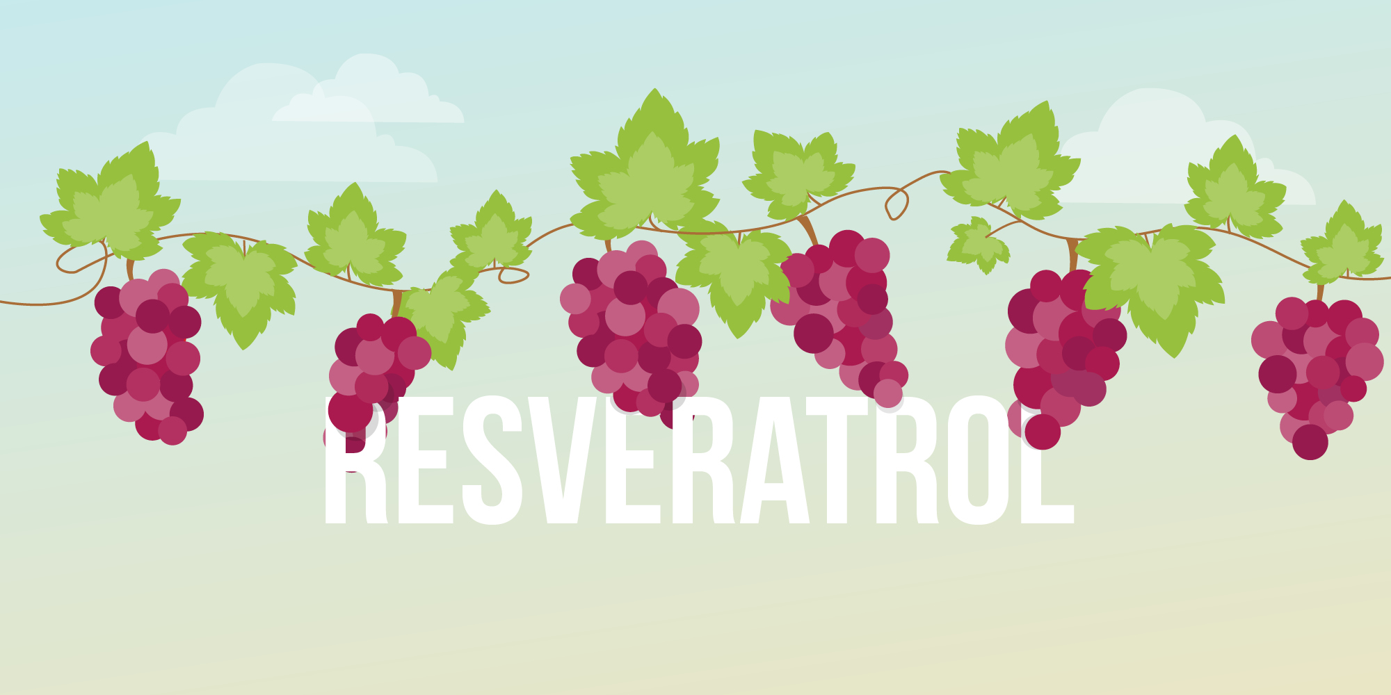 resveratrol good 5