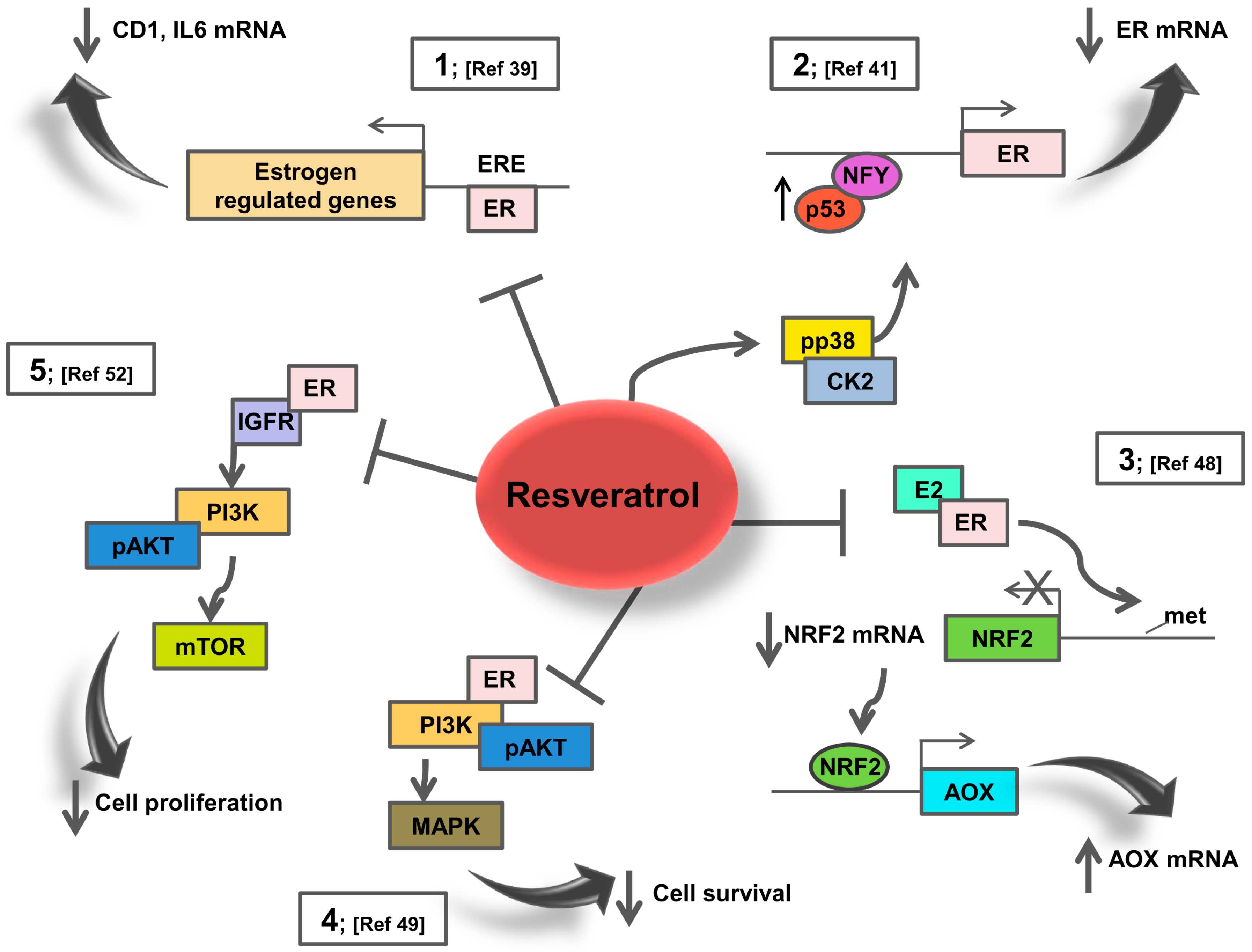 resveratrol good 7
