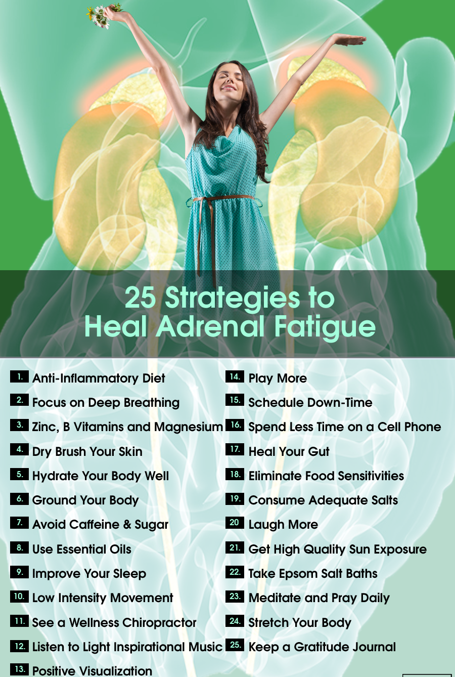 adrenal 1