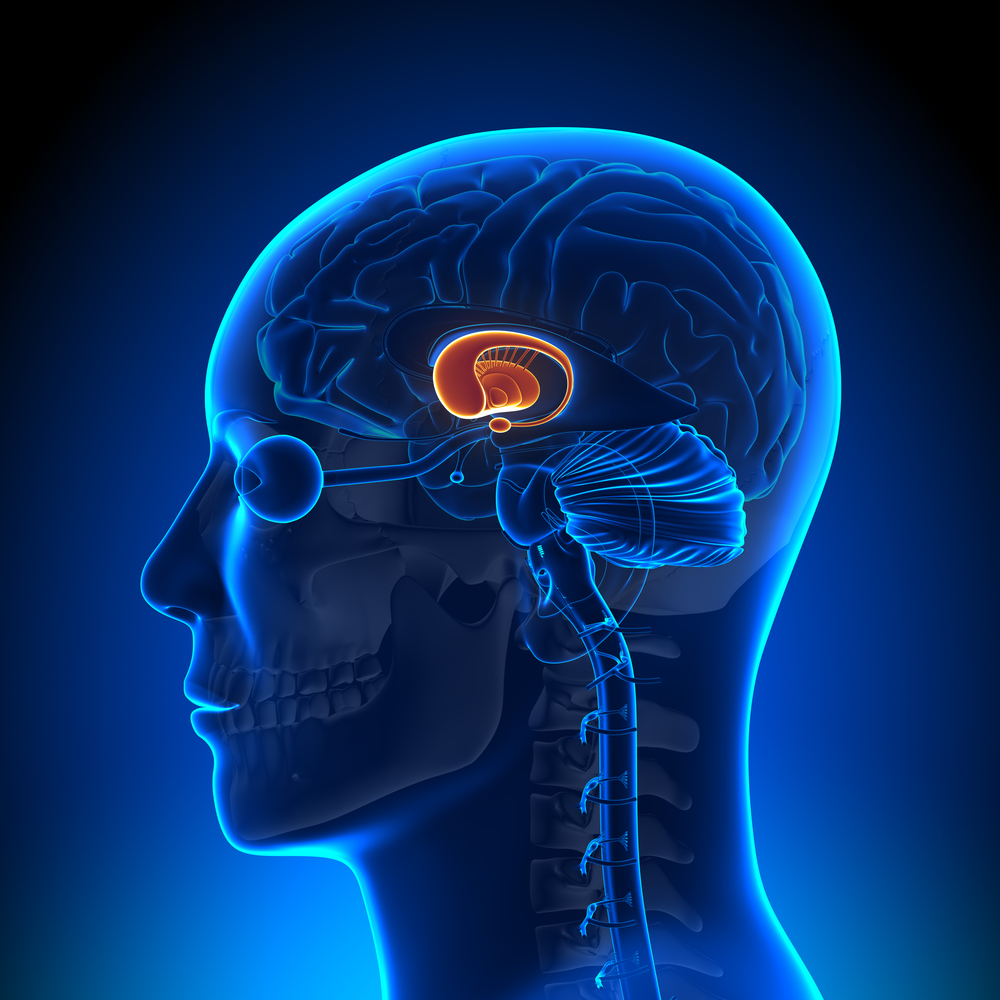 redesignarticle codev 2014 05 18 bae683f4c9 shutterstock 145753484