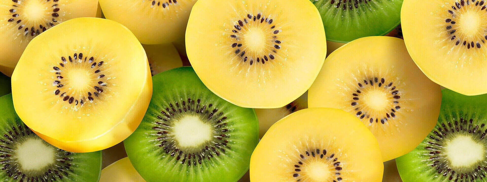 actinidia 2