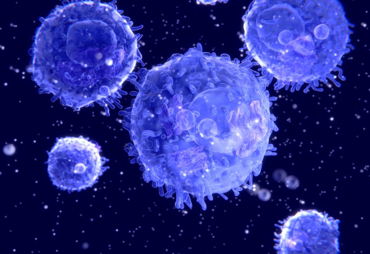 shutterstock 183635540 lymphocytes 1400x4802x