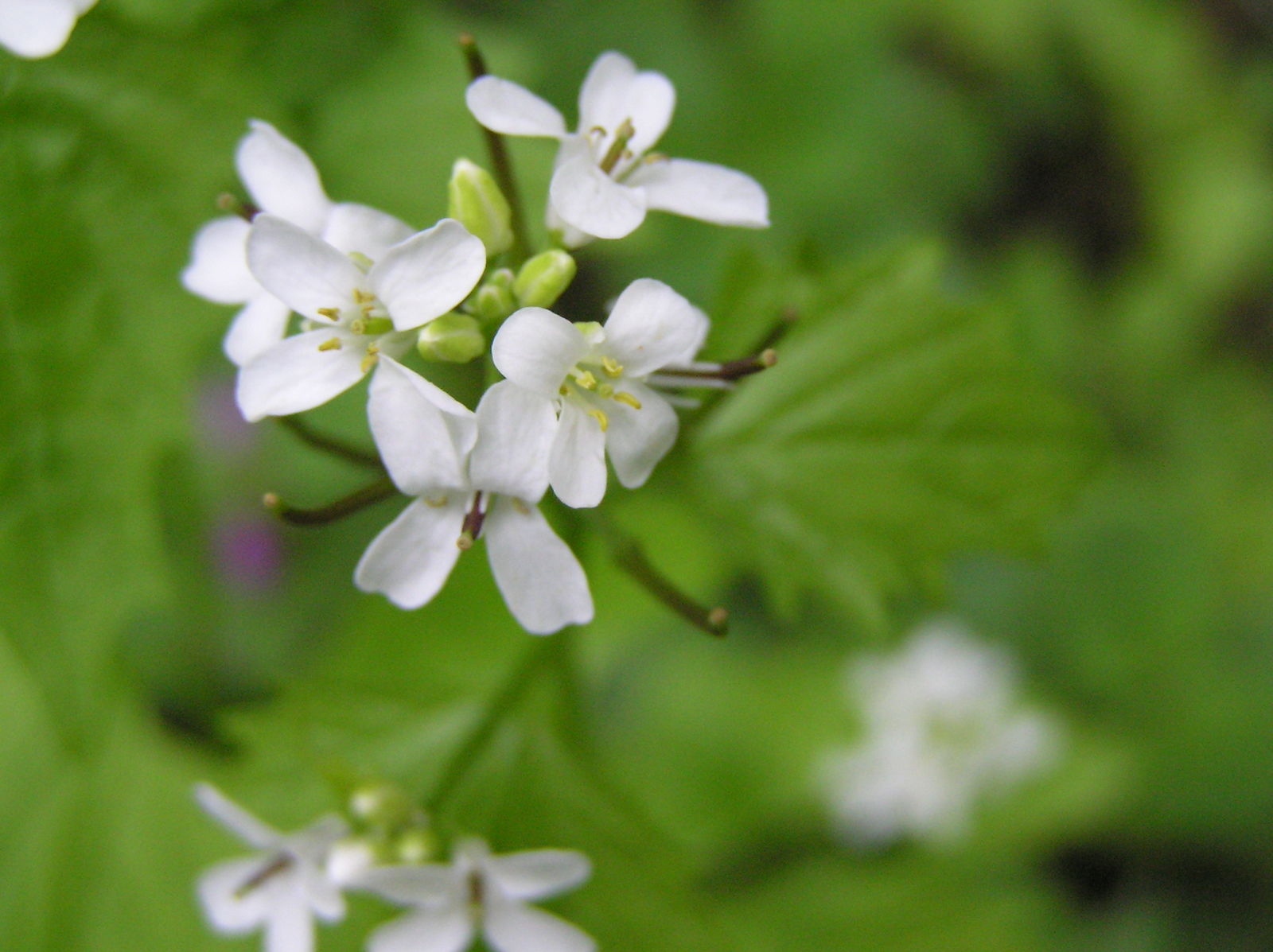 3d635591698f697bd2d2c8538888196f