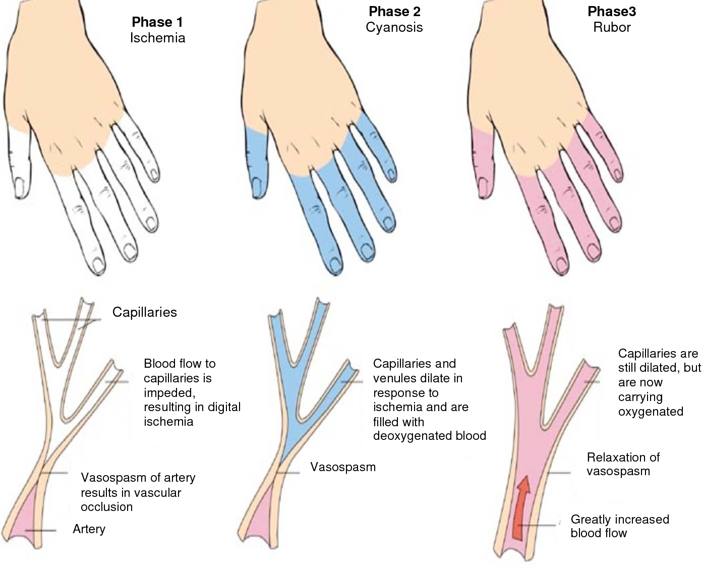 6 Figure1 1