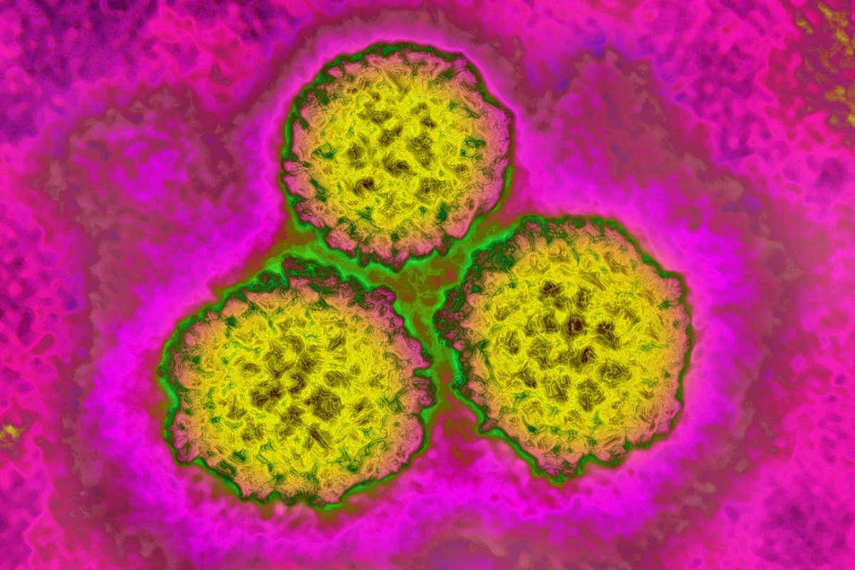 HPV VACCINE 4