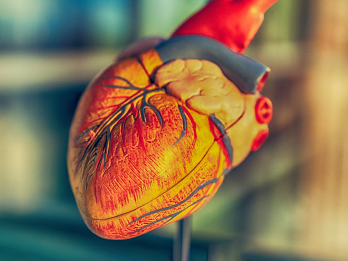 file 20210811 17 1owq1qz