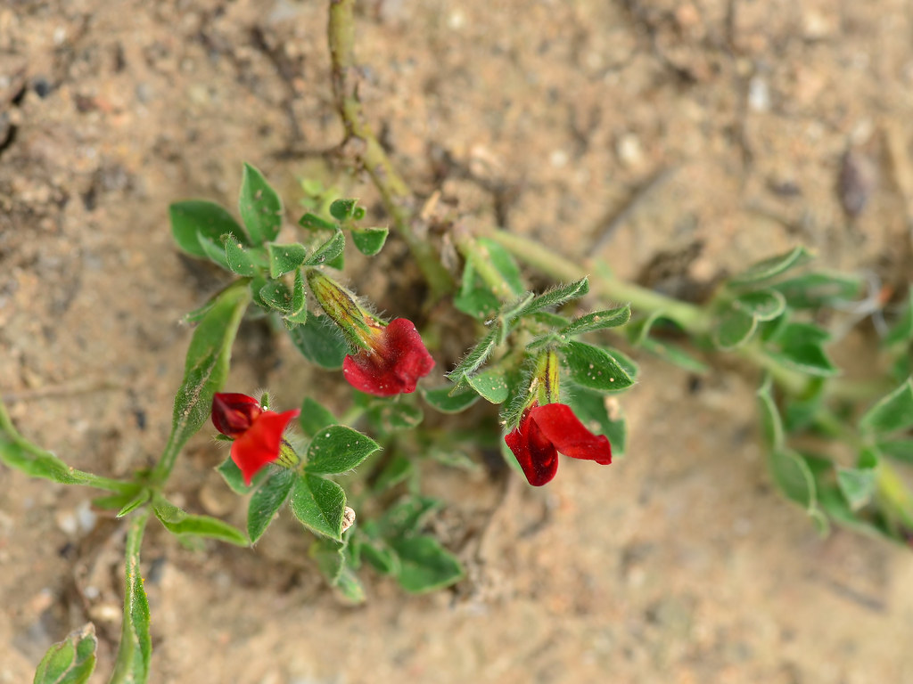 34308178444 b0f1c5427b b